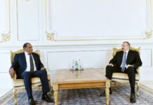 Azərbaycan prezidenti Misir səfirinin etimadnaməsini qəbul edib