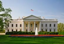 Ağ Evin kommunikasiya üzrə direktoru istefaya gedir