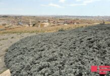 Azərbaycanda vulkan püskürüb