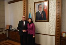 Elmar Məmmədyarov Rumıniya baş nazirinin müavinini qəbul edib