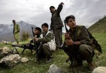 Türkiyə PKK-ya tarixi zərbə vurdu