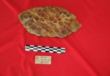 Naxçıvan ərazisindəki unikal abidələrdə aparılan tədqiqatlar