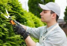 Bağban ev sahibini yaralayıb, arvadını öldürdü – Bakıda dəhşət