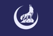 Azərbaycan Milli Demokrat (Bozqurd) Partiyasının İnformasiya Bölümünün İcmalı