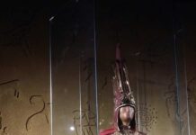 “Qızıl Geyimli Adam” sərgisindən videoreportaj