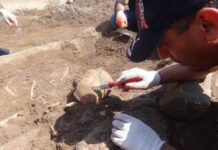 Yardımlı rayonu ərazisində son tunc dövrünə aid kurqanlar aşkar edilib