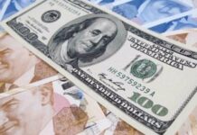dollar lirə