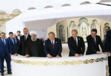 Dövlət başçıları Aktauda körpə nərə balıqlarının Xəzər dənizinə buraxılması mərasimində iştirak ediblər