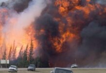 Kanadada 14 gün müddətinə fövqəladə rejim elan olundu