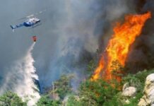 Yanğın hadisələrinə görə həbslər başlandı