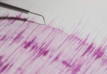 Gürcüstan-Ermənistan sərhədində 4,4 bal gücündə zəlzələ baş verib zəlzələ