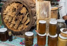 Arıçılıq məhsullarının sərgi-satış yarmarkasında iştirak üçün qeydiyyat başlayıb bal