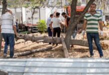 İcra Hakimiyyəti qanunsuz zəbt olunmuş torpaq sahəsinin hasarlarını söküb