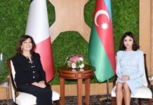 Azərbaycanın Birinci vitse-prezidenti Mehriban Əliyeva İtaliya Senatının sədri ilə görüşüb