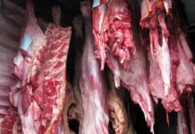 Qida Təhlükəsizliyi Agentliyinin həkimi və daha 5 nəfər həbs edilib