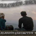 “Şollerin arxivi” bədii filmi