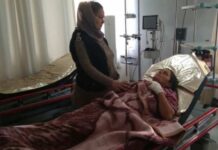 Lənkəranda yırtıcı heyvanlar sakinlərə hücum edib