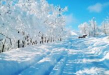 Qış fəslinin Azərbaycana gəlmə vaxtı açıqlanıb qış fəsli