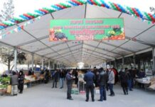 Bakıda bayram yarmarkalarına start verildi