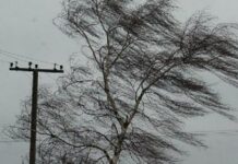 Küləyin sürəti saniyədə 25 metrədək güclənəcək güclü külək