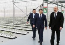 İlham Əliyev Tərəvəzçilik Elmi-Tədqiqat İnstitutunun açılışında iştirak edib