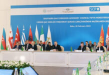 Bakıda Cənub Qaz Dəhlizi Məşvərət Şurası çərçivəsində nazirlərin V iclası keçirilir