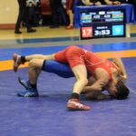 Sərbəst və yunan-Roma güləşi üzrə ölkə çempionatı