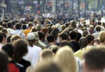 Azərbaycanda yol hərəkətinin elektron cihazlarla tənzimlənməsi üçün sənəd hazırlanır