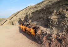 “Yanardağ” qoruğunun rəhbəri dəyişib