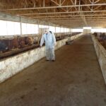 59d882ef-8ee8-4d40-9de2-8378127c4175