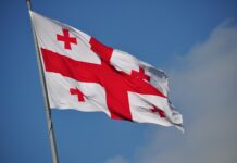 Gürcüstan bir neçə ölkədəki səfirlərini geri çağırır