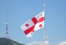 “Gürcü Arzusu”nun keçmiş üzvləri yeni partiya yaradır