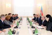 Nazir: “Çexiyanın Cənubi Qafqaz ölkələri ilə ticarət dövriyyəsinin 88%-dən çoxu Azərbaycanın payına düşür”