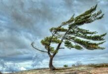 Şənbə gününün hava proqnozu açıqlanıb