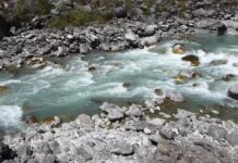 BMT rəsmisi: “Azərbaycanda su qıtlığı var və quraqlıq mövsümündə bunun təsiri daha ciddi hiss olunur”