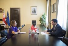 Gürcüstan parlamentinin sədri və Türkiyə səfiri regiondakı vəziyyəti müzakirə ediblər