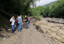 Güclü yağış Gürcüstanda fəsadlar törədib – FOTOLAR