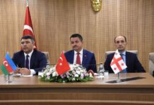 Azərbaycan, Türkiyə və Gürcüstan fındıq istehsalı sahəsində daha fəal əməkdaşlıq edəcək