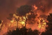 Nazirlik: Oğuzda dağlıq ərazilərdə baş verən yanğın məhdudlaşdırılıb