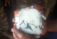 Qəzaya uğrayan MiQ-29 təyyarəsinin “qara qutusu” tapılıb Qəzaya uğrayan MiQ-29 təyyarəsinin “qara qutusu”