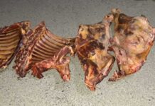 Bərdədən Bakıya istifadəyə yararsız ətin gətirilməsinin qarşısı alınıb