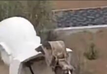 Bakıda Mikayıl Müşfiqin abidəsi aşırdılıb, RİH “yararsız idi” deyir – VİDEO