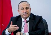 Türkiyənin XİN başçısı: “Özbəkistanın Türk Şurasına üzvlüyü tarixi addımdır”