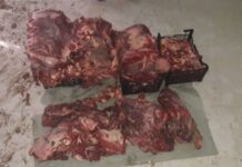 Bərdədə “Bala Tofiq” ləqəbli leş əti satan şəxs ifşa edilib