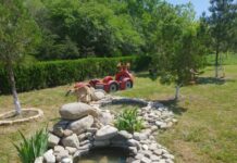 Milli parkların inkişafı üzrə milli proqram hazırlanacaq milli park