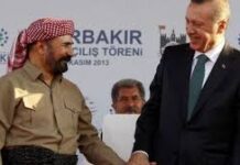 Şivan Perver ağlayaraq Türkiyə dövlətinə yalvardı