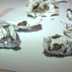 a3cace48-2a7a-4d23-8b37-5e8a97518a8d