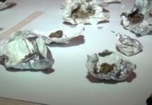 DİN əməliyyat keçirib, Bakıya narkotik və psixotrop maddələr gətirənlər saxlanılıb