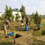 ağacəkmə aksiyası