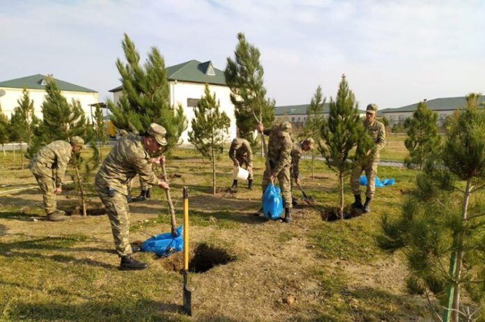 ağacəkmə aksiyası